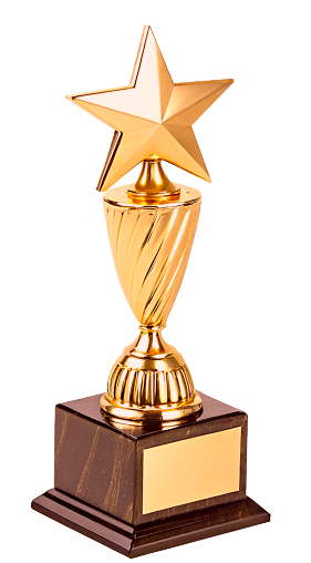 Иллюстрация: опыт команды